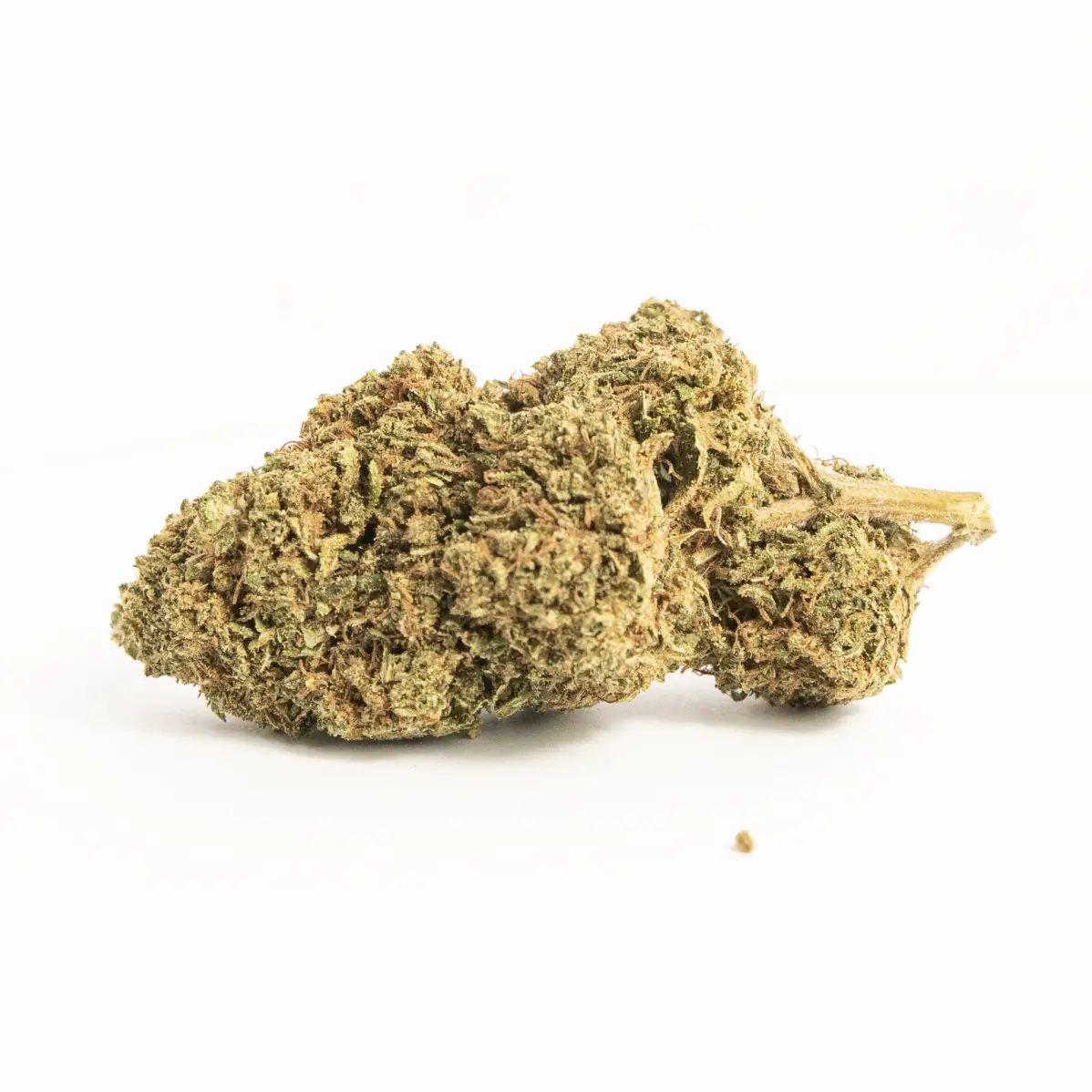 hlbudsGSC.webp High Life GSC | Buds - Bild 1