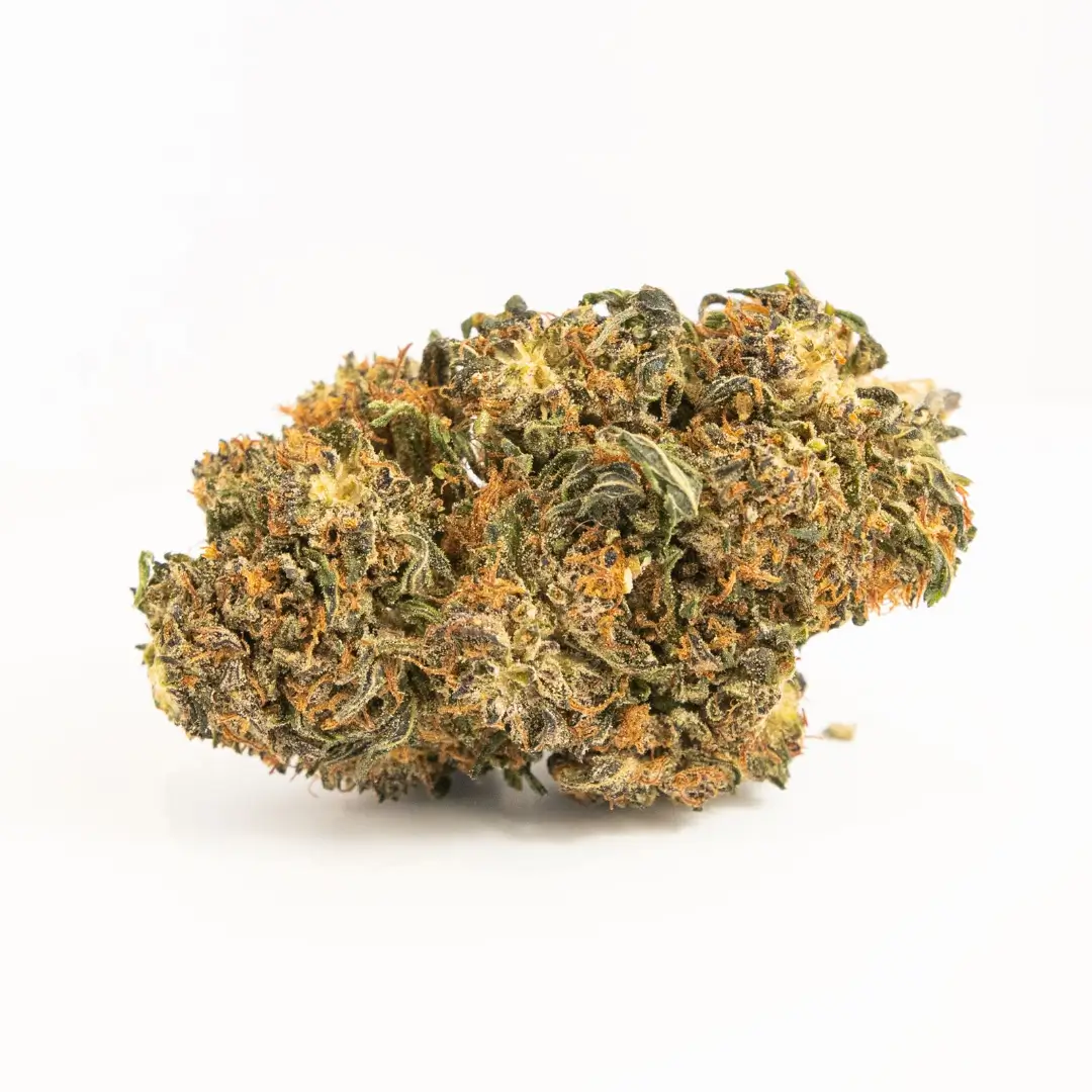 white-w-buds Buds – White Widow - Bild 1